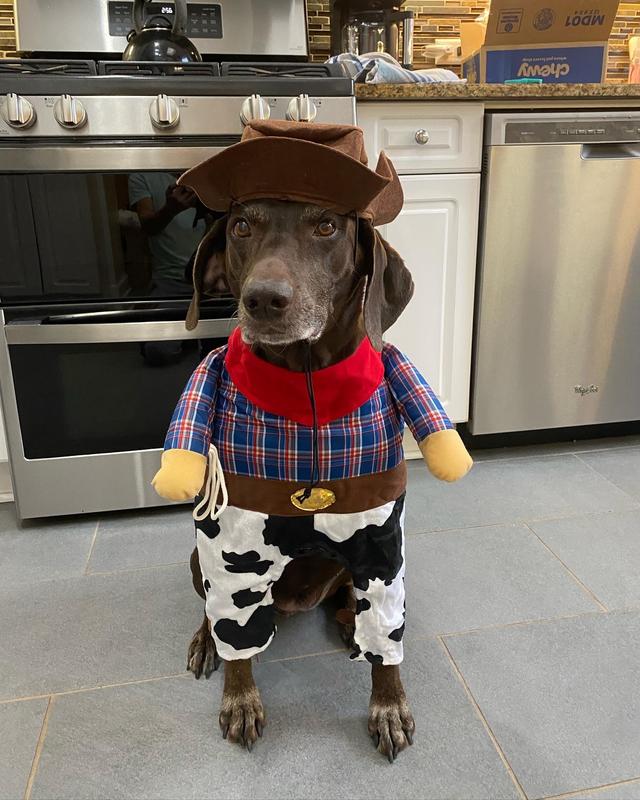 New sheriff in town