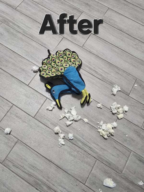 Eventually he gets the squeaky