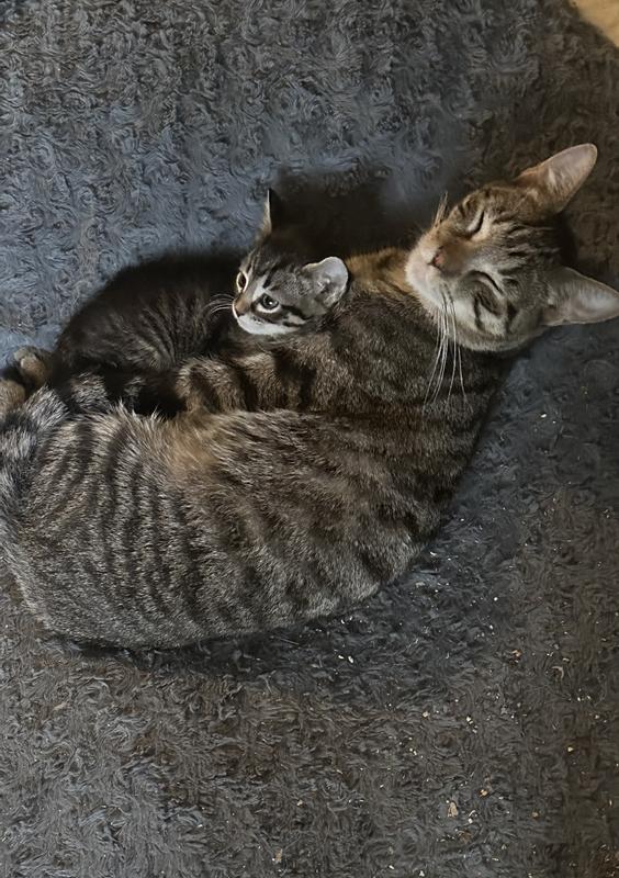 All sizes all gorgeous