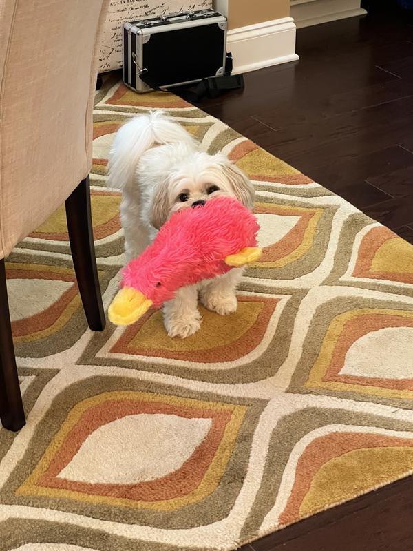 Multipet Duckworth Dog Toy Review: Why I'm ~Pup-Sessed~