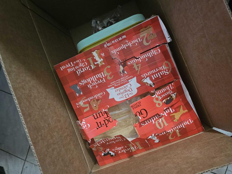 GOOD 'N' FUN 12 Days of Dogmas Advent Calendar Dog Treats, 3.8oz box