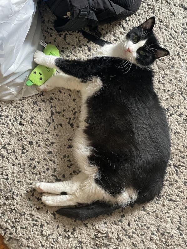 Chef and her Pickle buddy