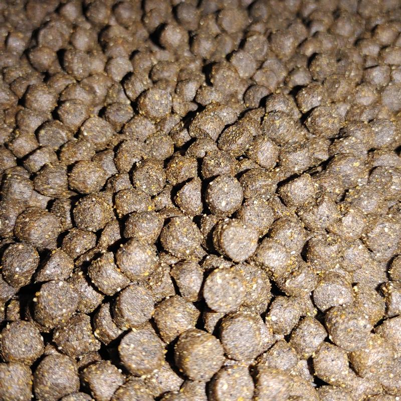 Victor Bully Fuel High Protein Dog Food