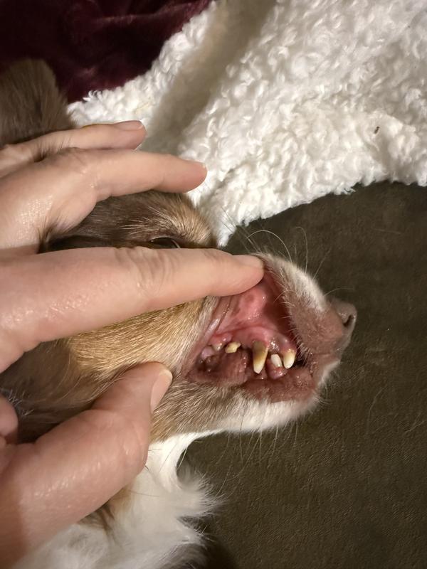 Still got a lot of tarter.