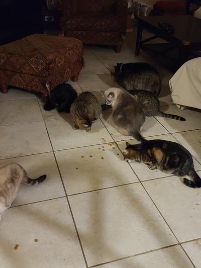 Snacking on these dental treats!