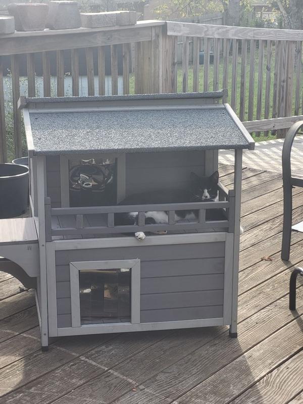 Skylar lounging on the balcony/