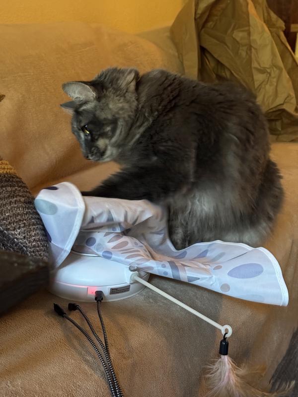 Anticipation - make it charge faster.