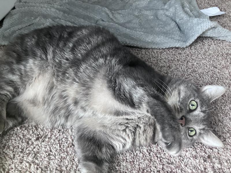 This is him three months on the food.