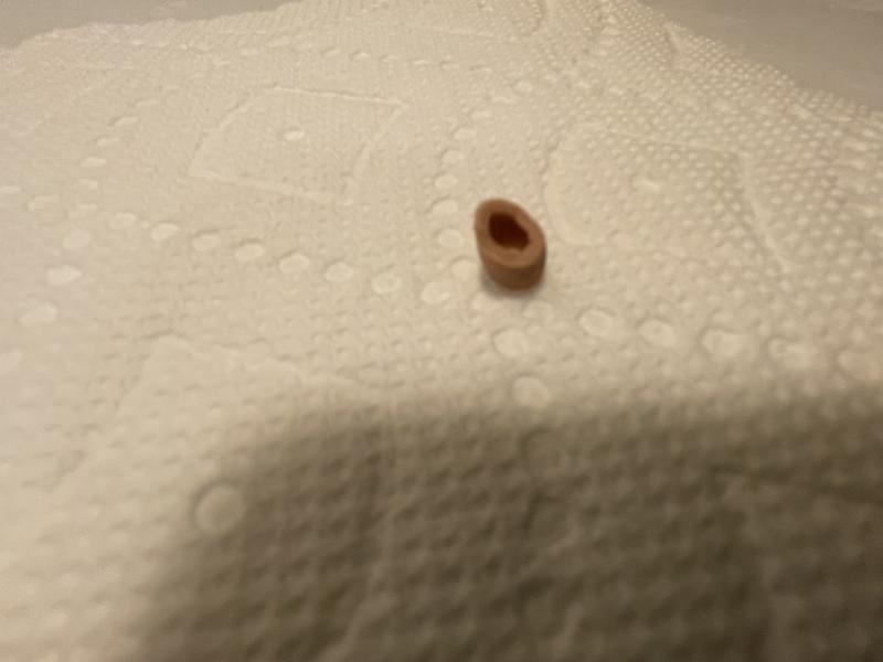 Found in the food…Rinsed off for picture