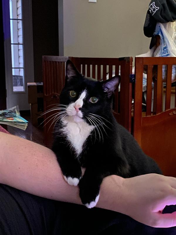 This is Tom Tucker! Very particular eater.