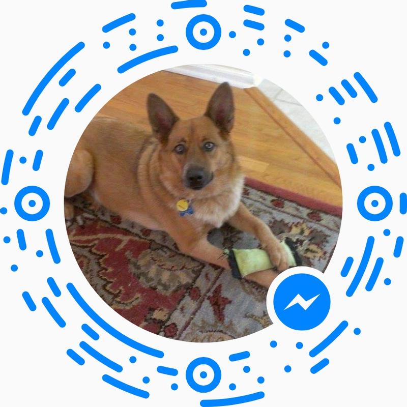 Scout being handsome.