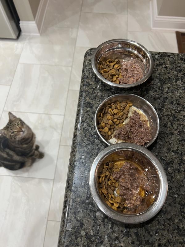 *Dry food is not included in the wet packet