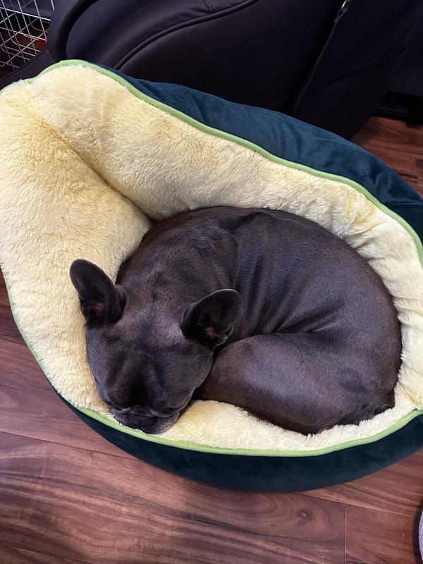FRISCO Avocado Cat & Dog Bed