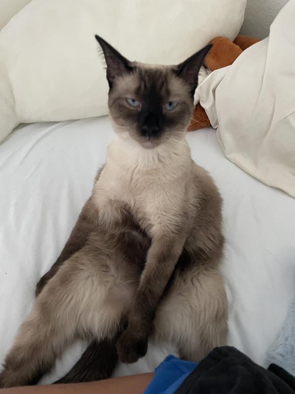 You can tell shes upset