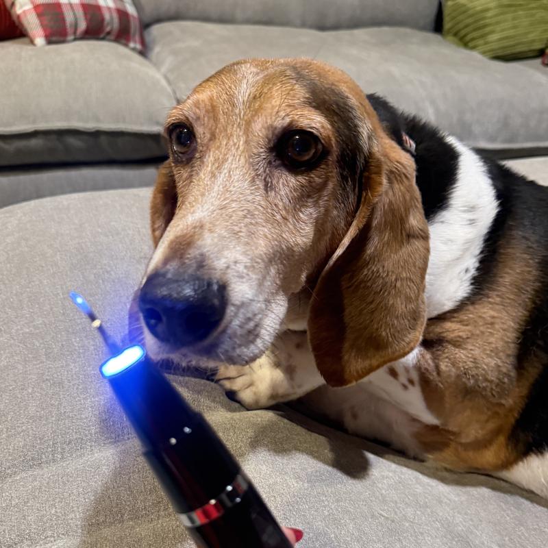 “Ummmmm….no thank you”