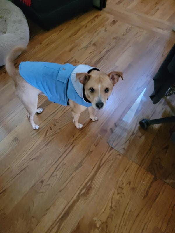 Butters seems to like his new jacket