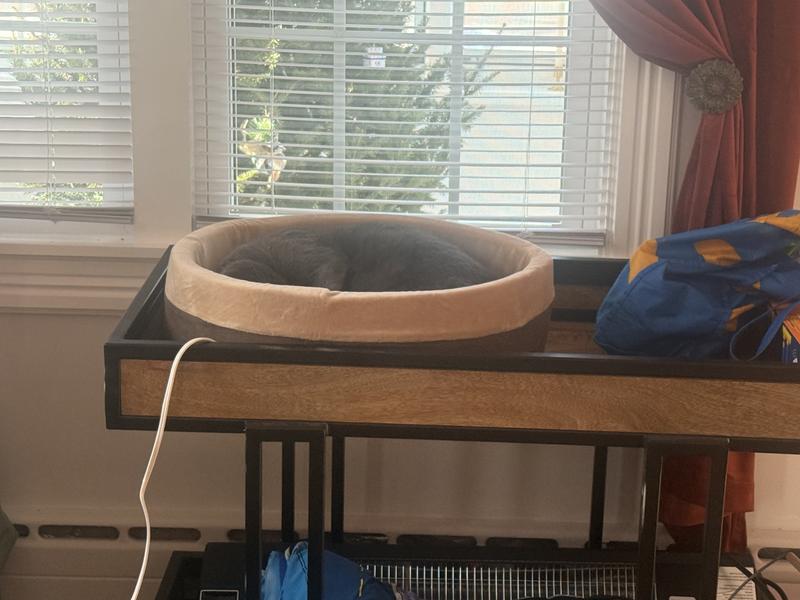 Off the floor and in heaven