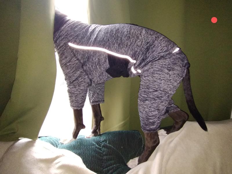 KURGO Stowe Base Layer Dog Sweater, Heather Black, Small