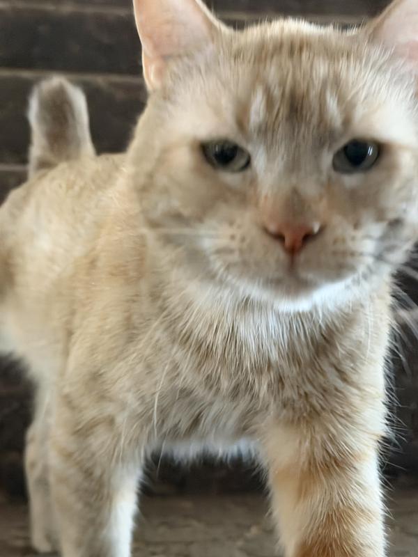 Is that a chewy order at the door?