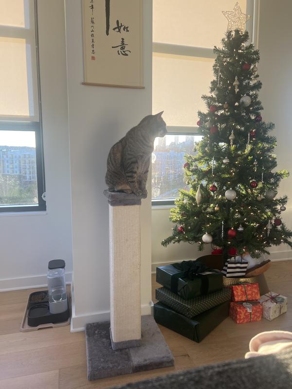 FRISCO 33.5in Sisal Cat Scratching Post, Brown