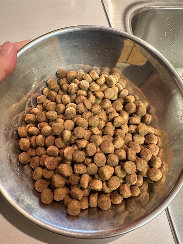 Kibble size is smaller than a dime, which is great for dogs the size of Frenchies.