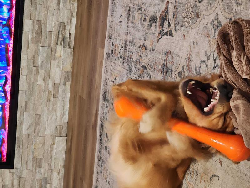 KONG SqueakStix Dog Toy, Medium