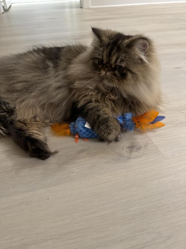 Cat Toys Feather Multipet Katz Kuddlerz Elongated Plush Cat Toy