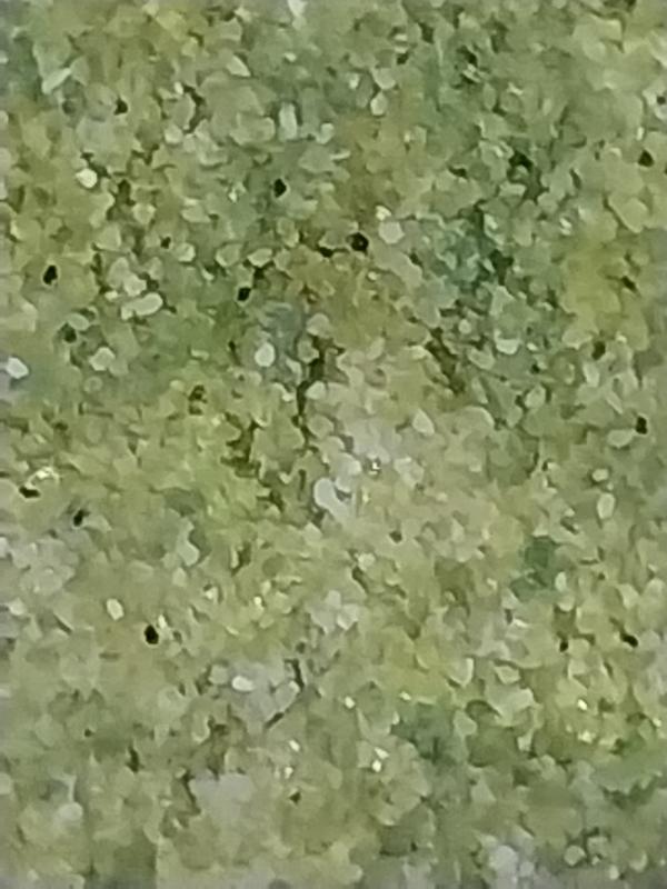 Health indicator shows green because our cat has a uti!