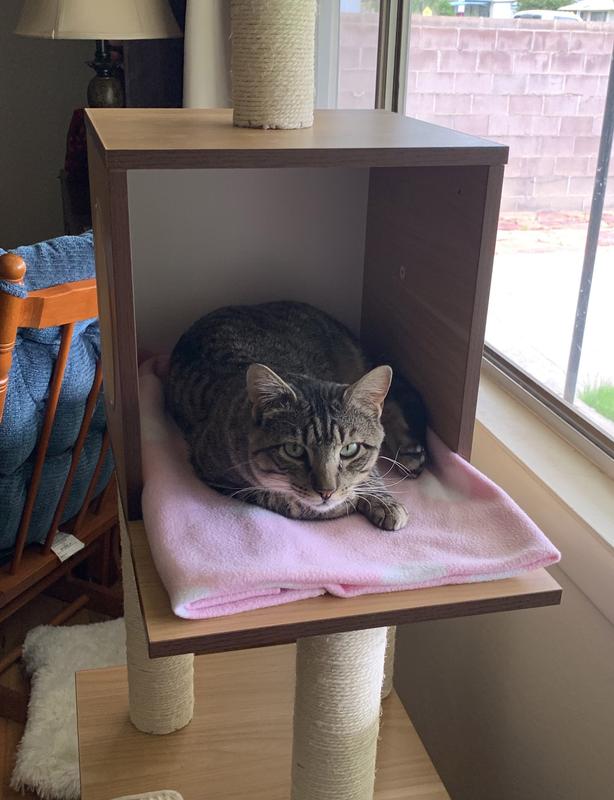 FRISCO 62in Modern Cat Tree & Condo, Gray