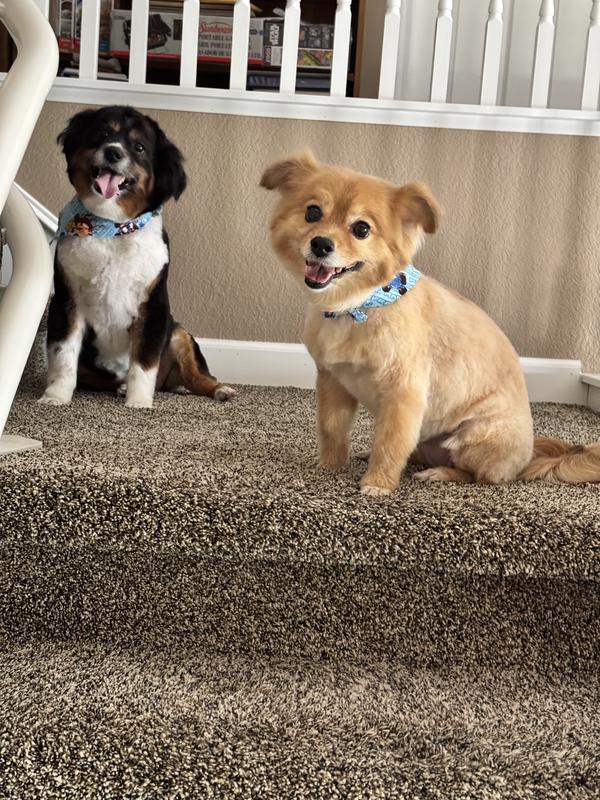 The 2 littles