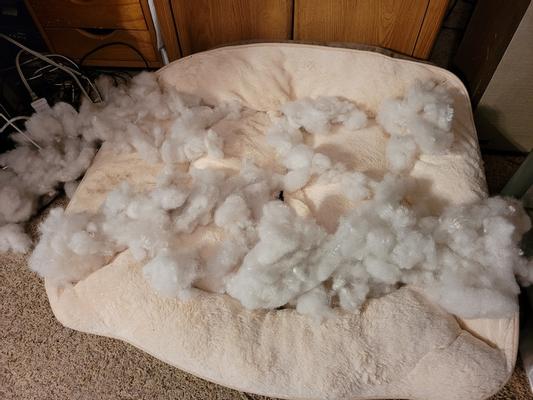 Bed after Border collie pulled out half of the stuffing!