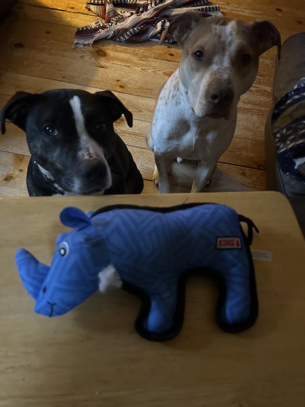 KONG Ballistic Rhino Squeaky Dog Plush Toy, Blue, Medium/Large - Chewy.com