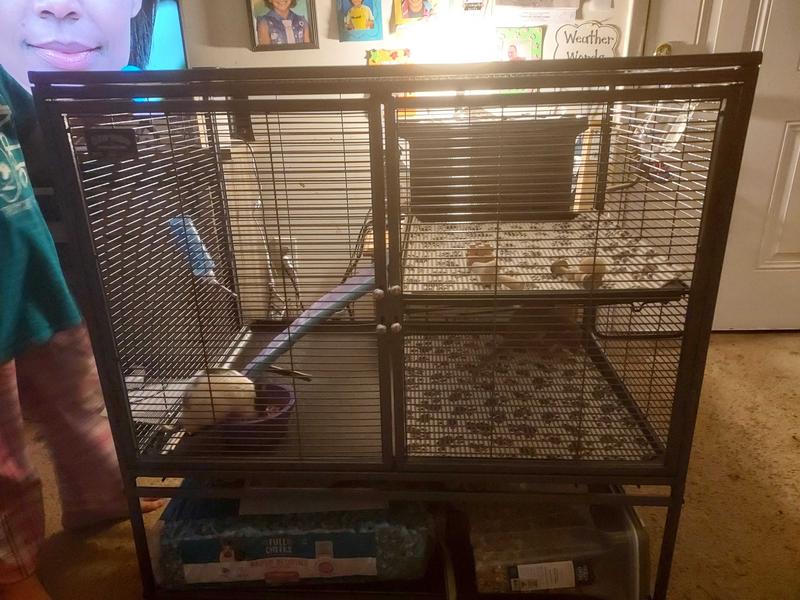 Used critter nation cage for clearance sale