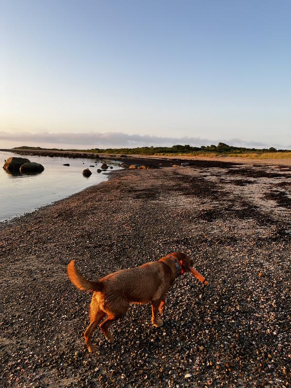 Another good day at the beach!