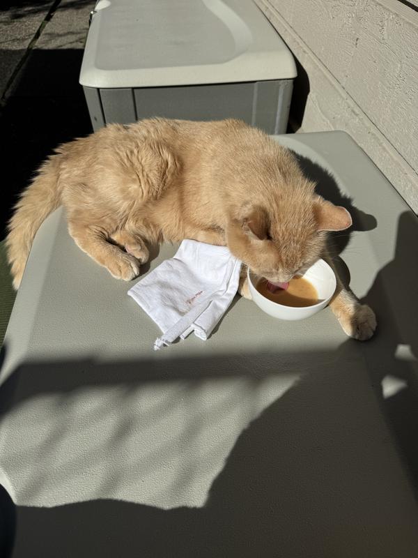 Sun and hydration help ease a weary soul