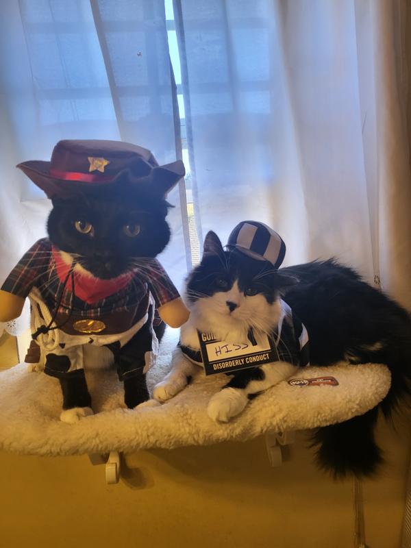 Cat sheriff clearance costume