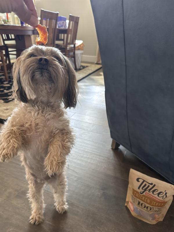 Temporarily Unavailable TYLEE'S Chicken Jerky Dog Treats, 8-oz