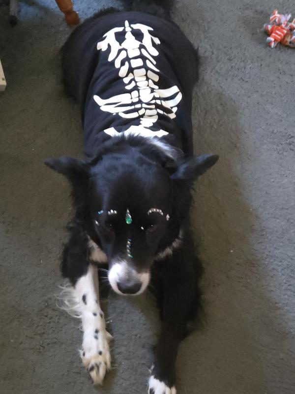 Spooky candy skeleton.