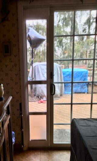 Pet Safe Door