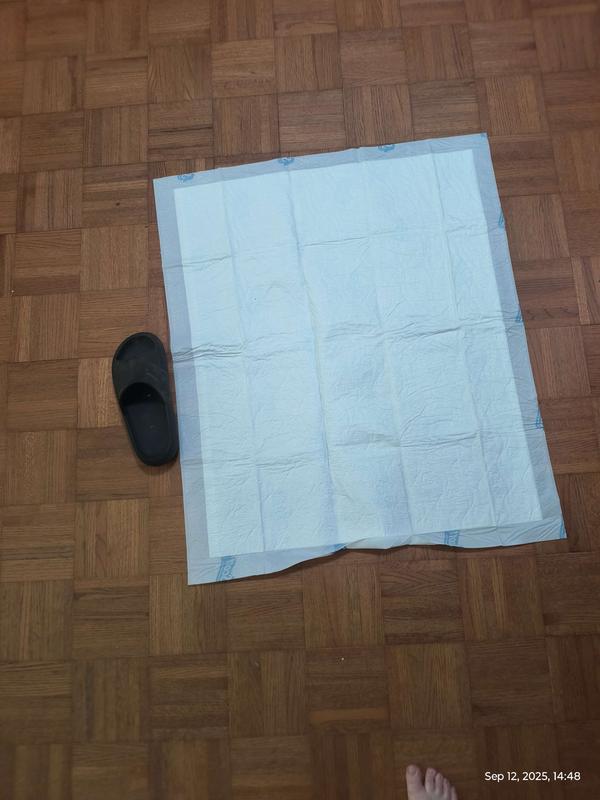 Medium sized sandal for size refrence, these were massive!