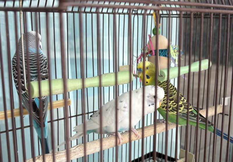 Just don’t seem to notice the toy yet.