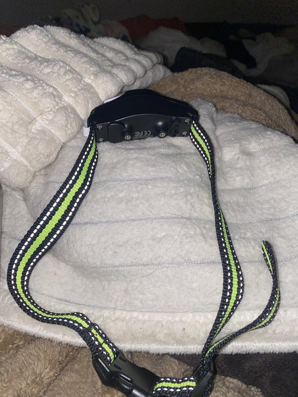 Great training collar for those looking to train any dog large or small! 5*