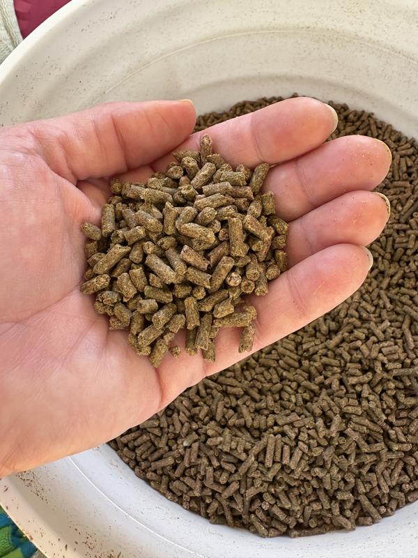 What the supplement looks like