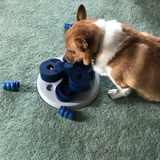 TRIXIE Flower Tower Strategy Game, Advanced Dog Puzzle Toy, Level