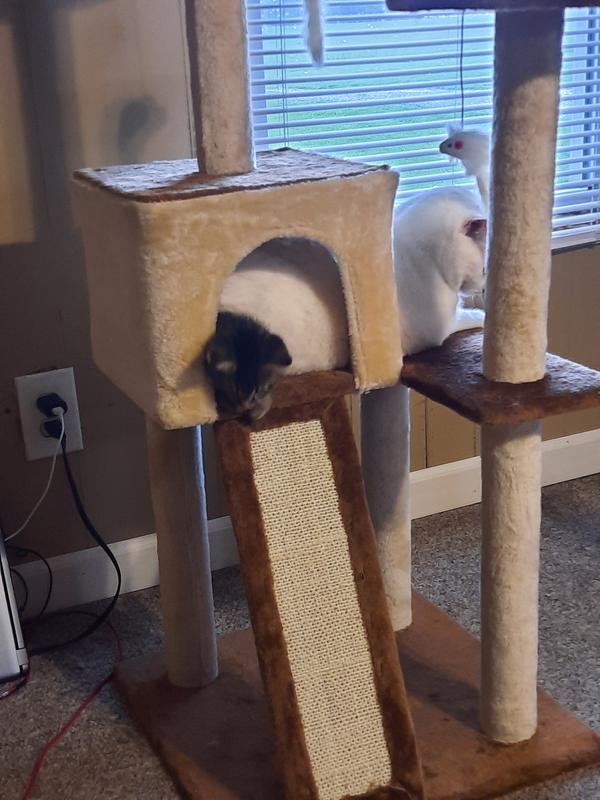 Snow and two relaxing