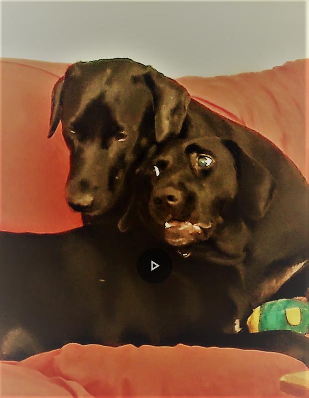 Our Healthy Addison's boy and his brother!