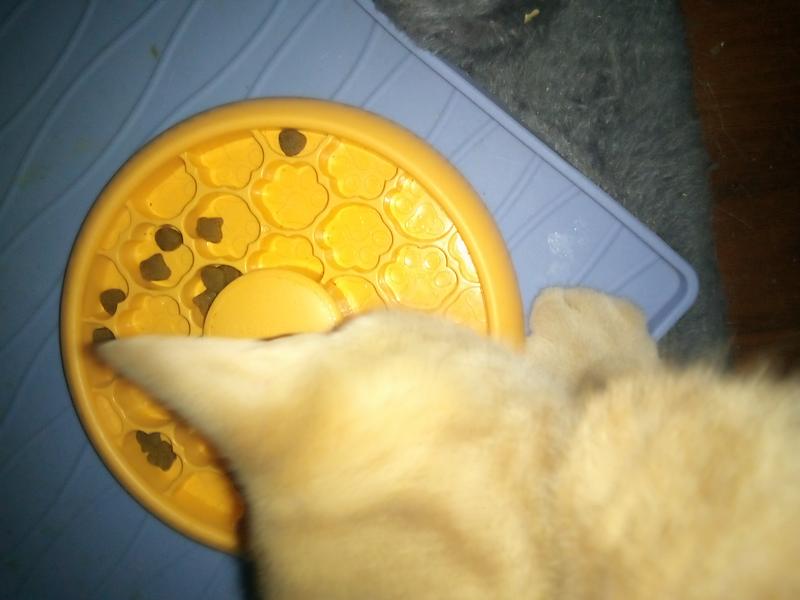 Finishes in record time