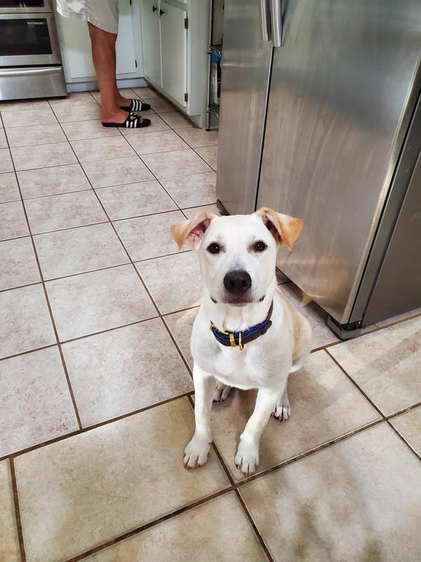 Yes! It's dinner time.