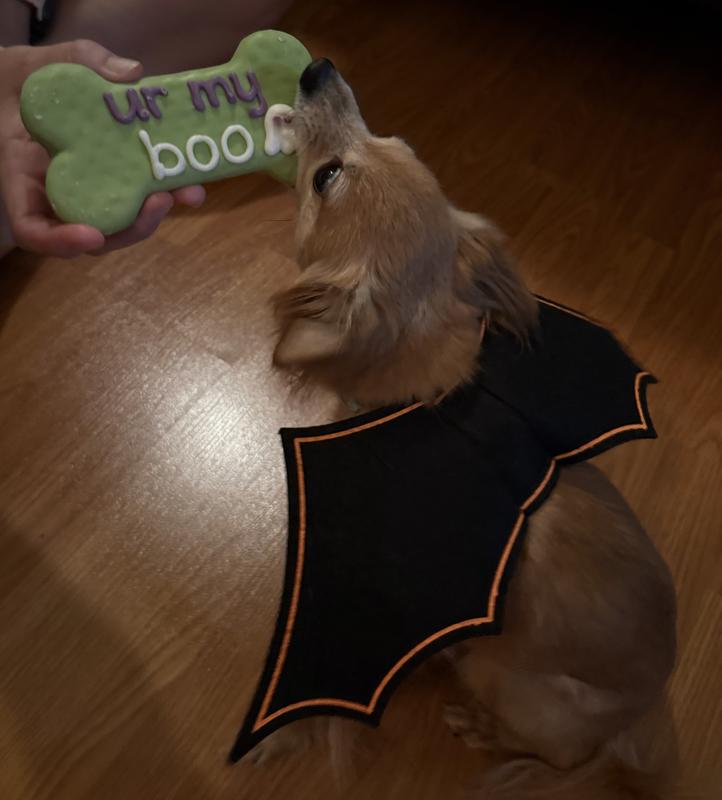 A giant cookie for a mini Minnie!!