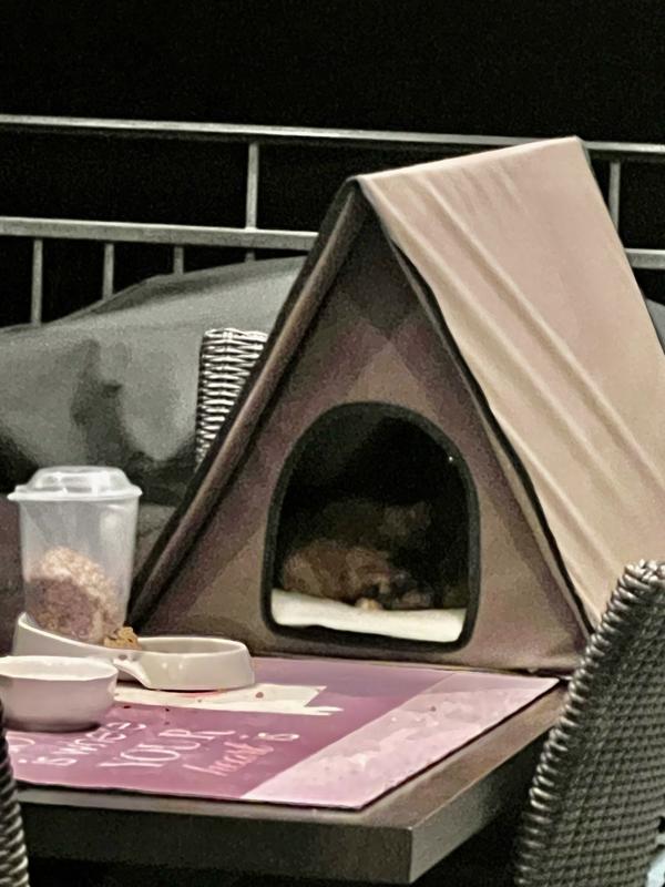 K&H PET PRODUCTS Outdoor Heated MultiKitty AFrame House